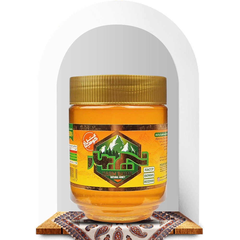 عسل-کوهستان-500گرم