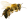 bee (1)